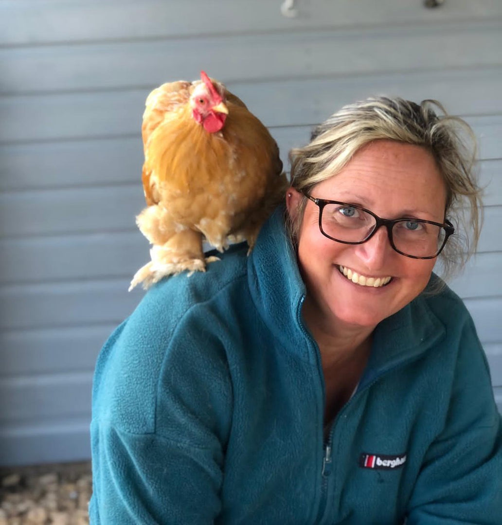 Wat zeggen de experten over de Nestera kippenhokken?