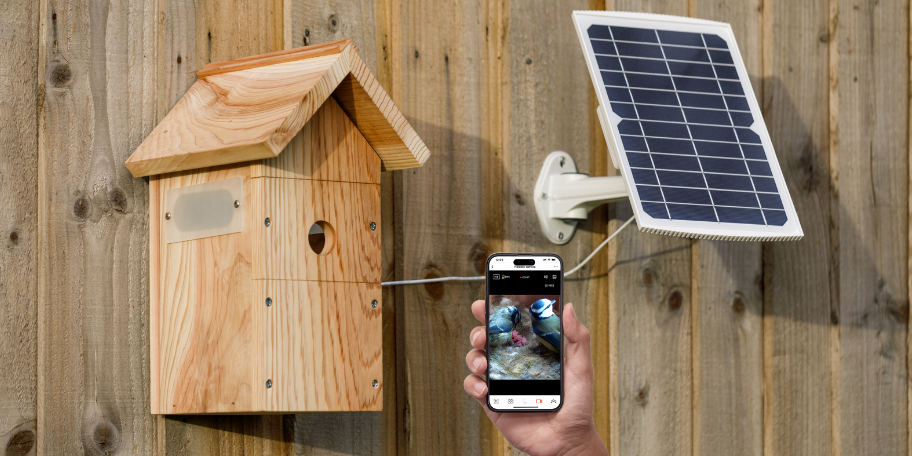 Watch Birds Up Close With Our New Wire-Free Bird Box Camera System 