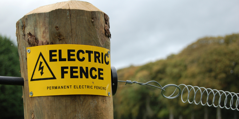 Electric Poultry Fencing for Beginners