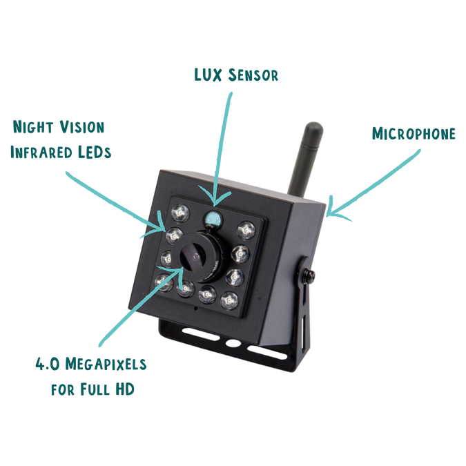 How to Setup a Wireless Bird Box Camera: Easy Steps for Stunning Views