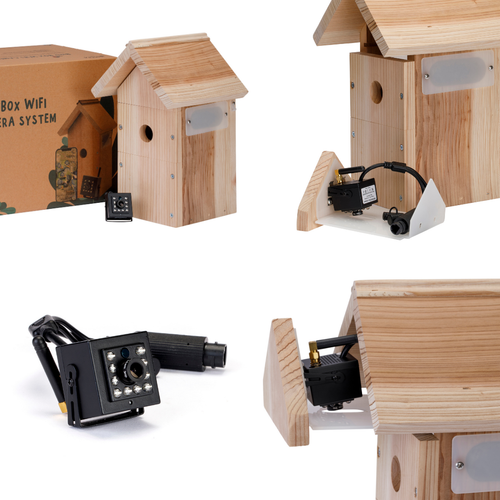 Is uw WiFi Vogelhuisje Camera klaar voor livestreaming? - Green Backyard Is uw WiFi Vogelhuisje Camera klaar voor livestreaming? - Green Backyard