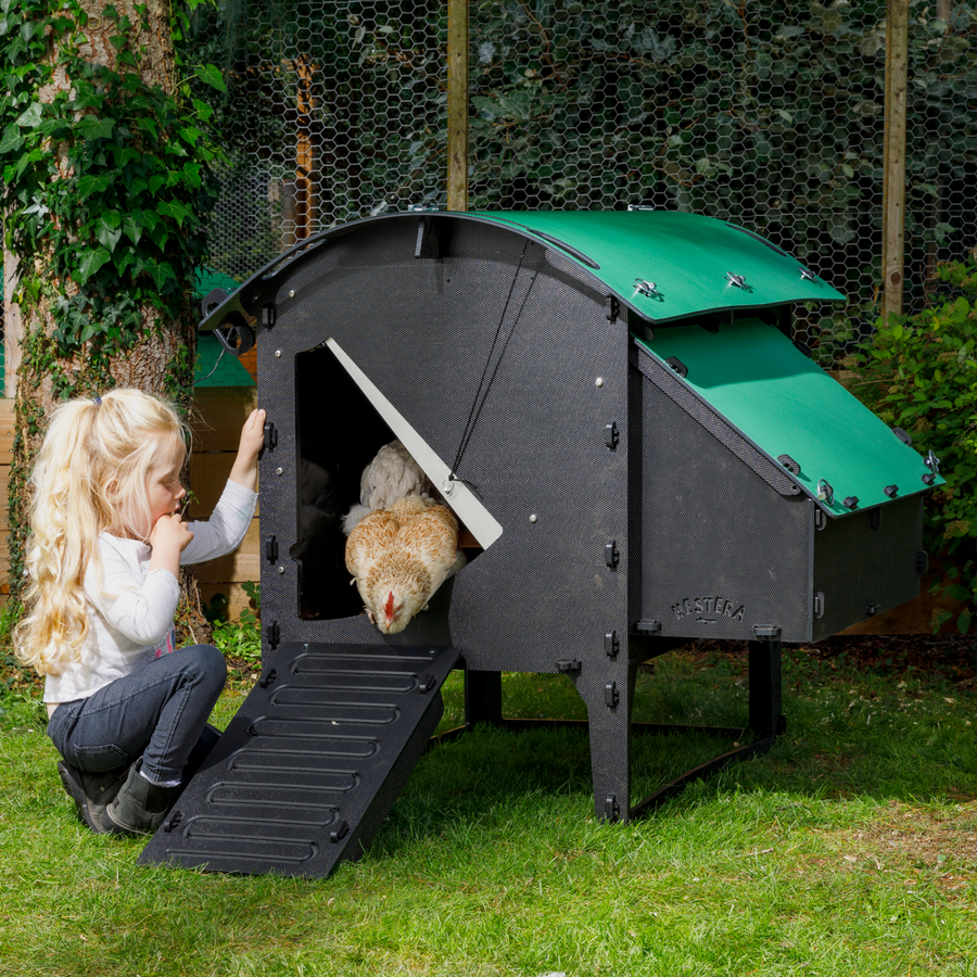 Chicken Coop